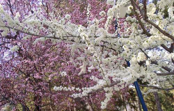 NEVRUZ BAYRAMI İLE BAHARA HOŞ GELDİN DİYORUZ | EĞİTİM İŞ