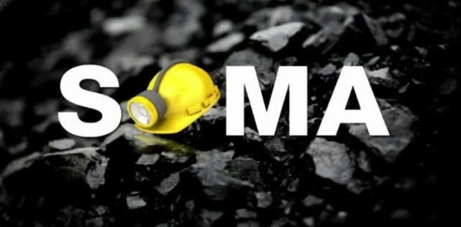 SOMA KATLİAMINDA YİTİRDİĞİMİZ MADEN İŞÇİLERİNİ SAYGIYLA ANIYORUZ | EĞİTİM İŞ