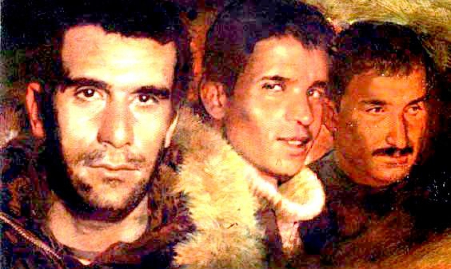 ÜÇ FİDANI SAYGIYLA ANIYORUZ | EĞİTİM İŞ